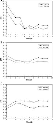 Improvement of Coral Sand With MICP Using Various Calcium Sources in Sea Water Environment